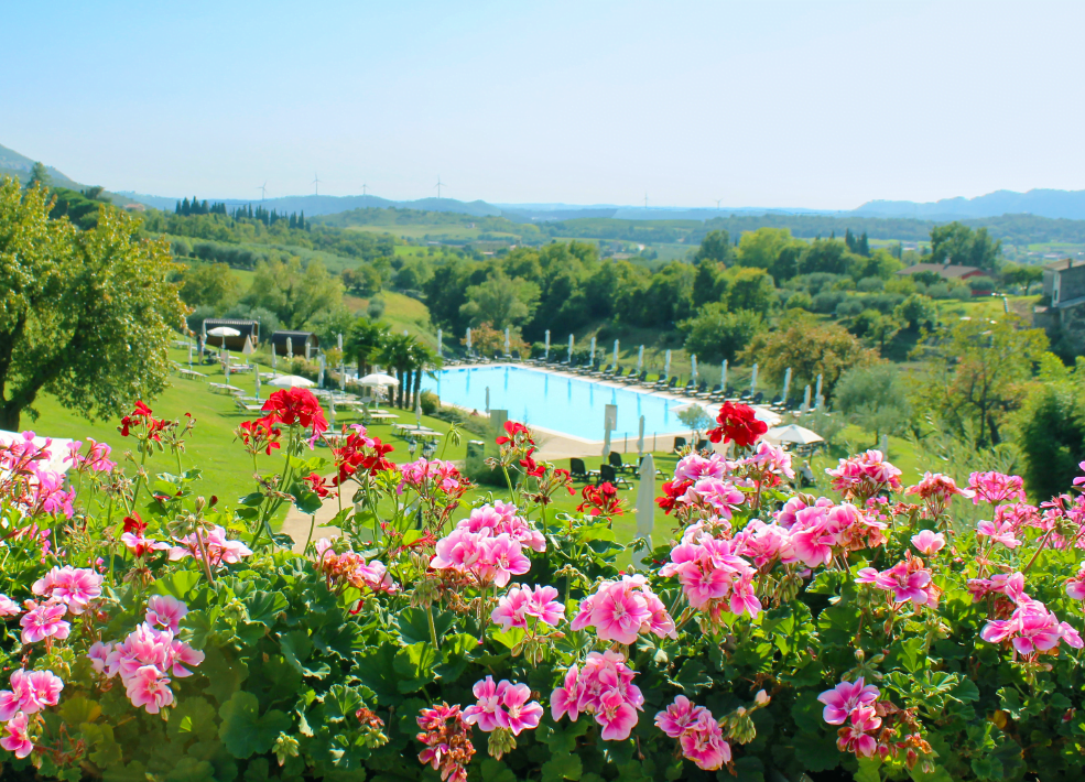 primavera
